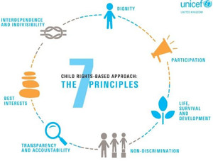 7 Principles